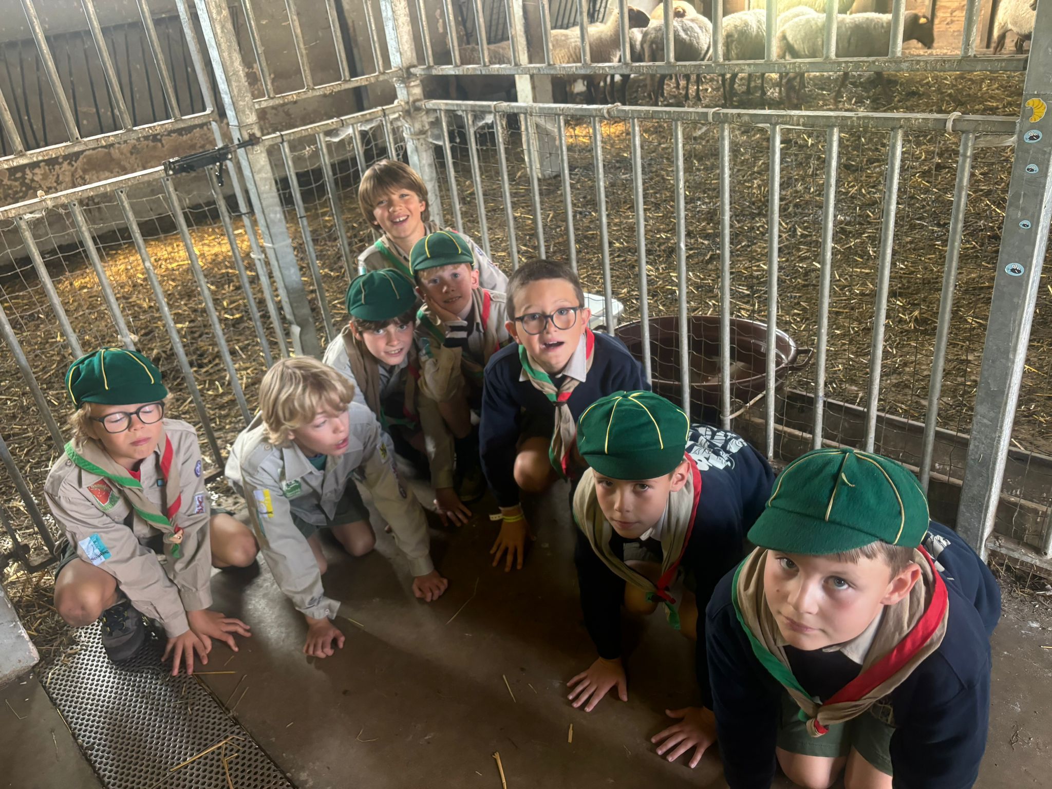 Sint-Martinus den XIIde - Opening 2024